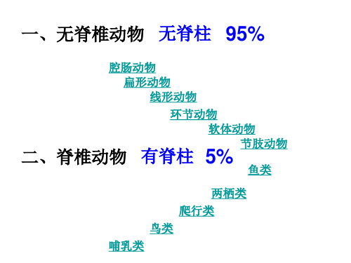 脊椎动物的主要类群-内蒙古乌兰浩特市卫东中学人教版八年级生物上册课件