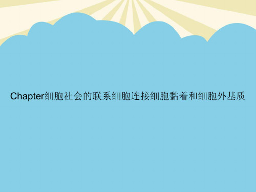 【正式版】Chapter细胞社会的联系细胞连接细胞黏着和细胞外基质PPT资料