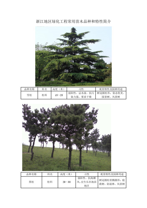 浙江地区绿化工程常用苗木品种和特性简介