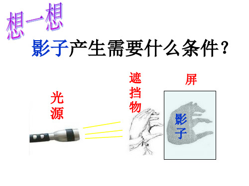 光源遮挡物屏影子什么是光源