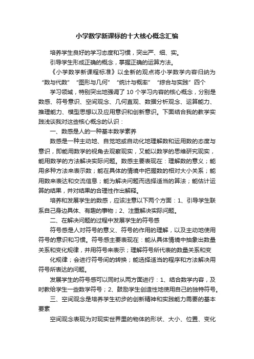 小学数学新课标的十大核心概念汇编