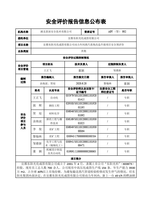 安全评价报告信息公布表