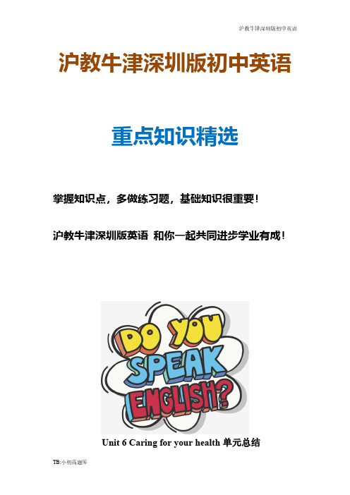 沪教牛津深圳版初中英语九年级下册 Unit6知识点语法精讲精练【全套6】