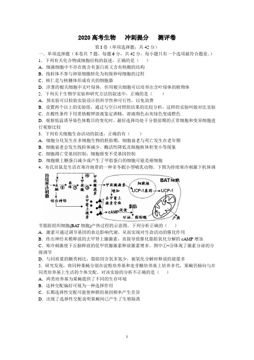 2020北京高考 冲刺提分卷附有答案