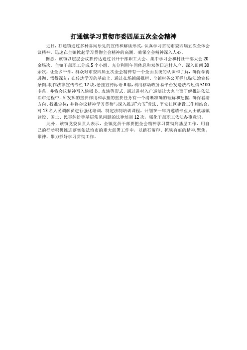 打通镇学习贯彻市委四届五次全会精神