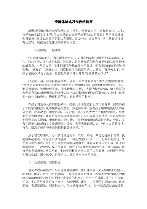 情境体验式习作教学初探