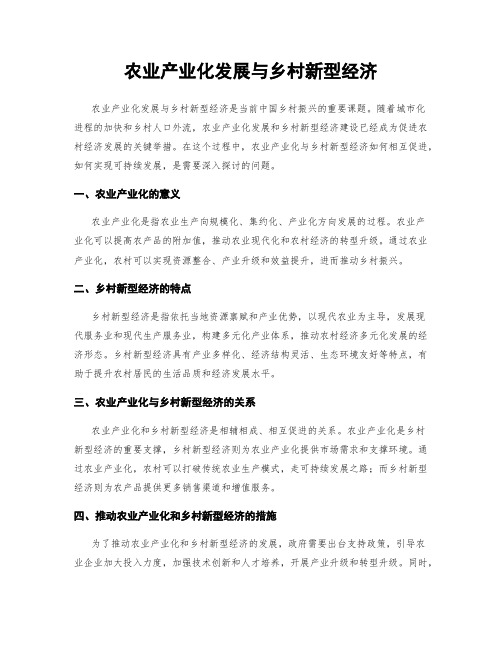 农业产业化发展与乡村新型经济