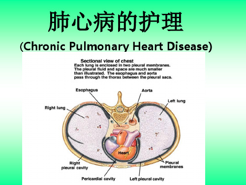 肺心病病人的护理