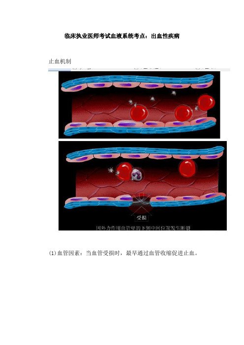 临床执业医师考试血液系统考点：出血性疾病