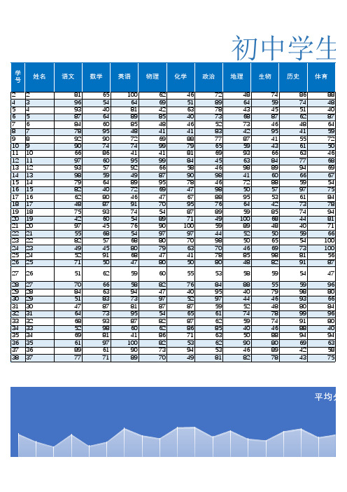 初中学生成绩表