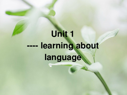 人教高中英语必修1Unit1learning about language(共53张PPT)