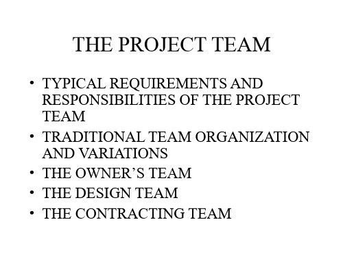 THE PROJECT TEAM的项目团队