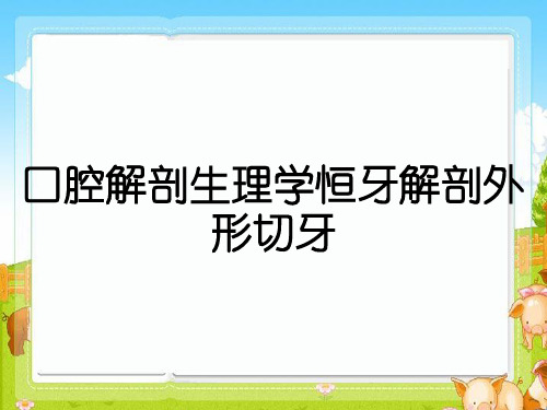 口腔解剖生理学恒牙解剖外形切牙