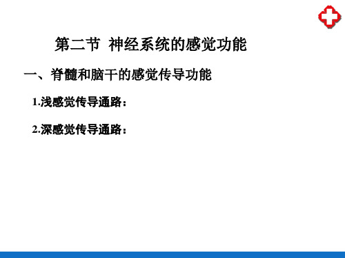 神经系统的功能—神经系统的感觉功能(生理学课件)