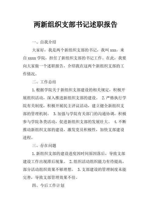 两新组织支部书记述职报告