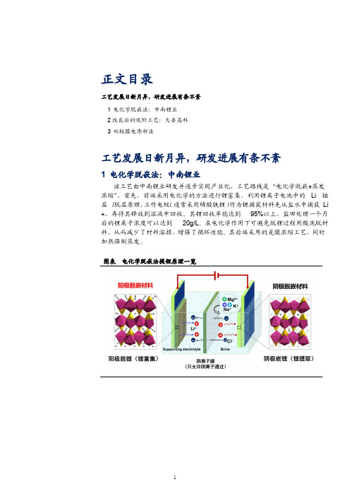 盐湖提锂新工艺梳理：电化学脱嵌、双极膜电渗析