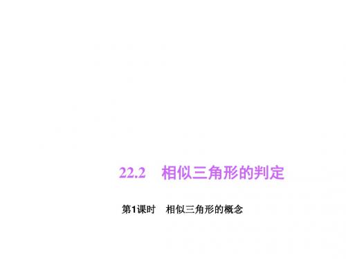 冀教版九年级数学上册课件22.2 相似三角形的判定 第1课时 相似三角形的概念