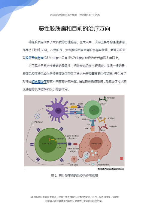 恶性胶质瘤和目前的治疗方向