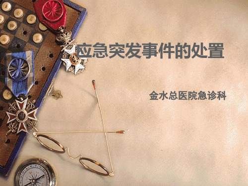 应急突发事件的处置PPT课件
