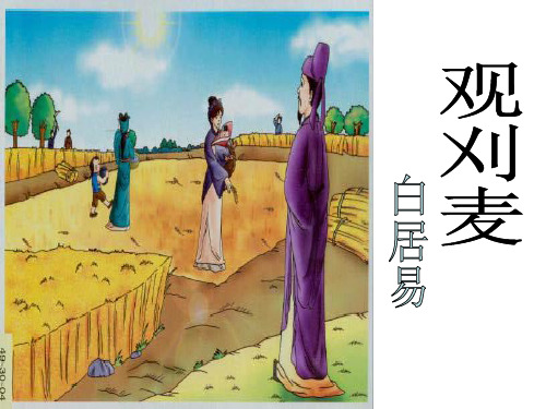 观刈麦课件PPT