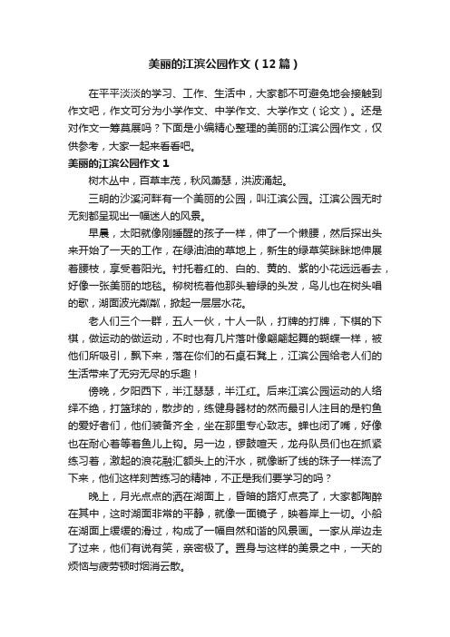 美丽的江滨公园作文（12篇）