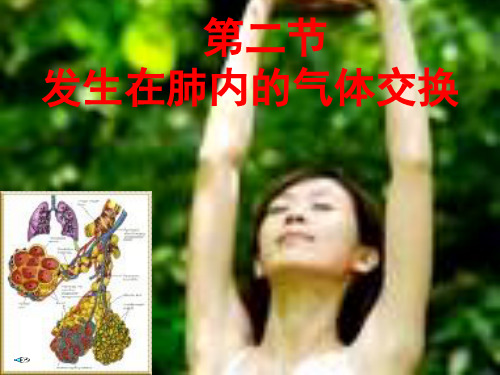 生物人教版七年级下册肺和血液间的气体交换.ppt