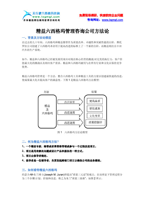 精益六西格玛管理咨询公司方法论