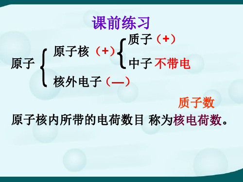 科学上把具有相同核电荷数(即质子数)