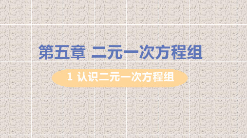 北师大版八年级上册数学第五章二元一次方程组PPT