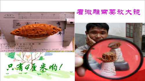 初中语文八年级下册《13短文两篇核舟记》 (3)
