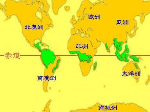 九年级语文上册 雨林的毁灭--世界性灾难课件