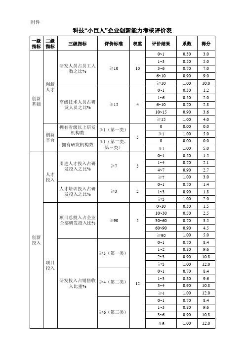 科技“小巨人”企业创新能力考核评价表