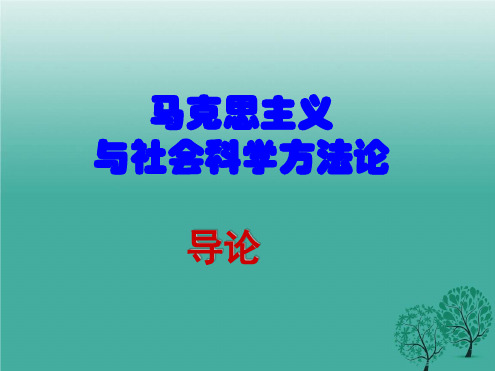 201854马克思主义与社会科学方法论概述