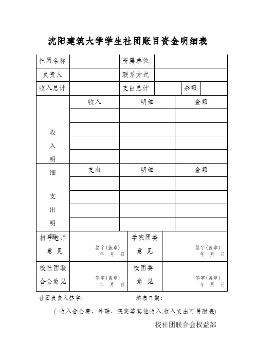 社团账目资金明细表