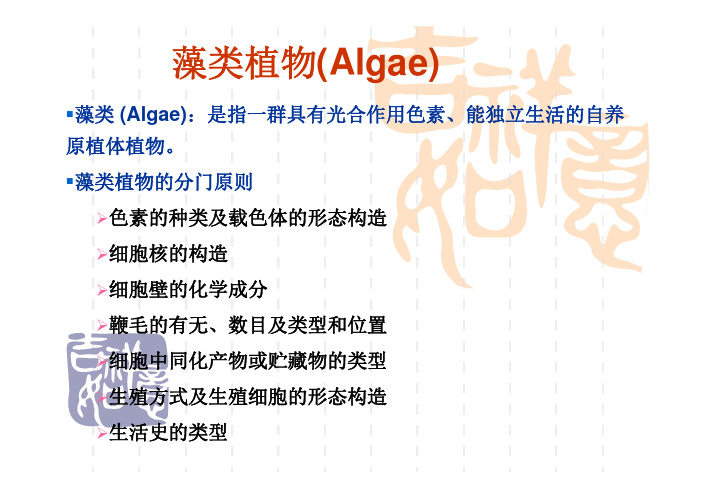 植物学 藻类植物(Algae)