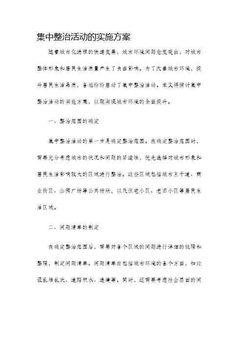 集中整治活动的实施方案