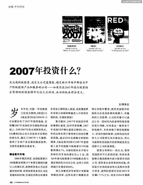 2007年投资什么？