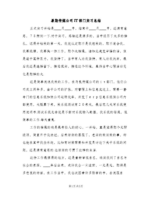 暑期传媒公司IT部门实习总结（2篇）