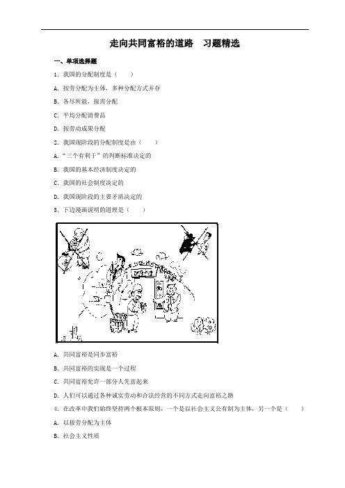 走向共同富裕的道路 习题精选