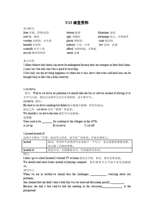 人教版九年级英语Unit 13重点知识学案