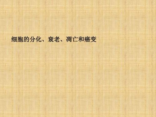 【金版新学案】最新高考一轮详细复习 细胞的分化、衰老、凋亡和癌变(考点透析+典例跟踪详解+实验导航大题