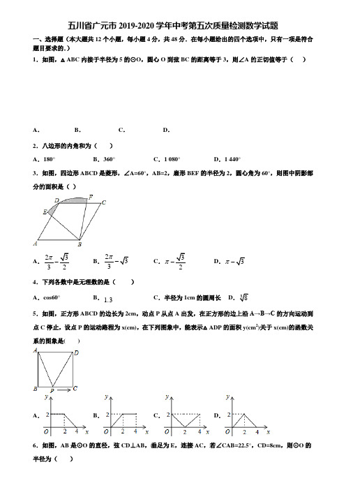 五川省广元市2019-2020学年中考第五次质量检测数学试题含解析