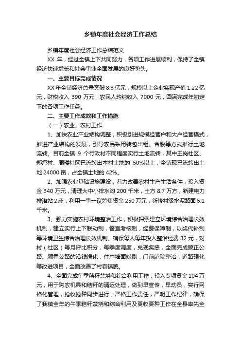 乡镇年度社会经济工作总结范文