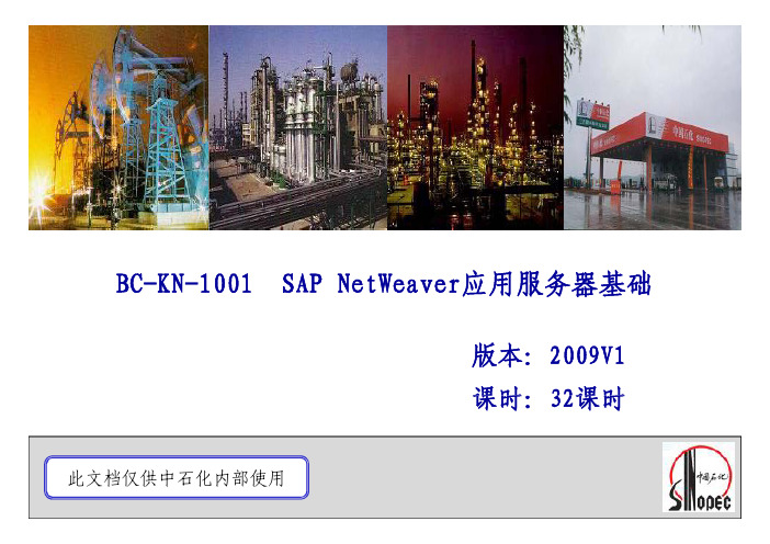 sap netweaver