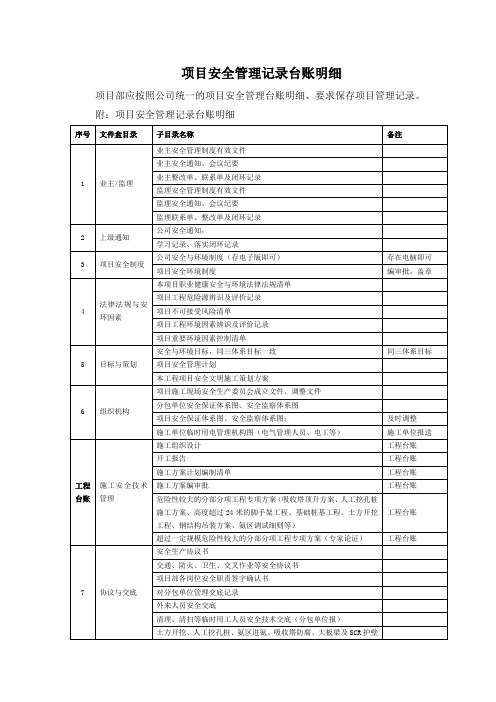 项目安全管理记录台账明细