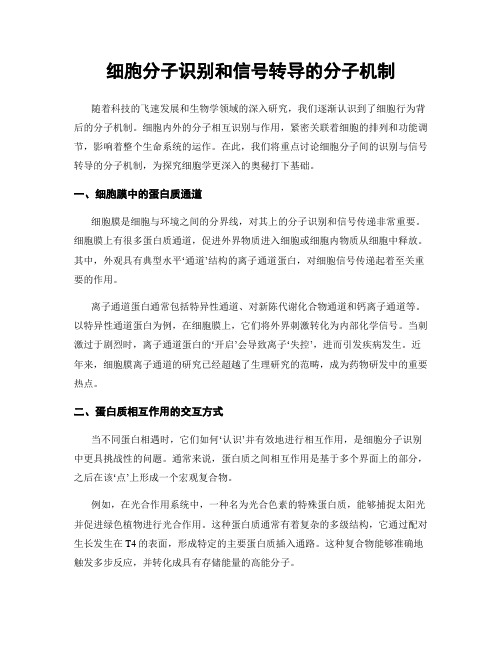 细胞分子识别和信号转导的分子机制