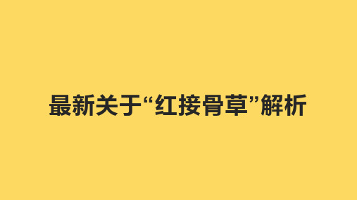 最新关于“红接骨草”解析