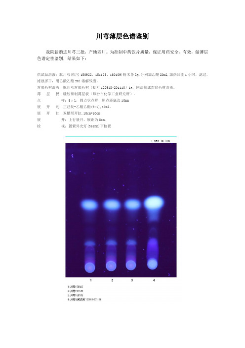 川芎薄层色谱鉴别