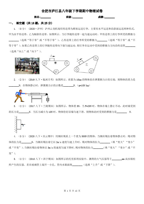 合肥市庐江县八年级下学期期中物理试卷