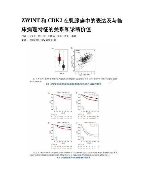 ZWINT和CDK2在乳腺癌中的表达及与临床病理特征的关系和诊断价值